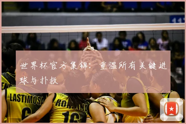 世界杯官方集锦:重温所有关键进球与扑救