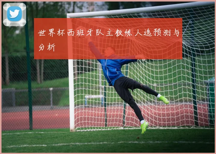 世界杯西班牙队主教练人选预测与分析
